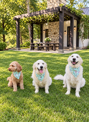 The Good Dog Bandana