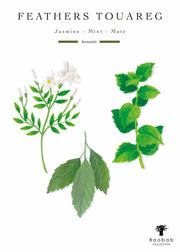 Baobab Collection Feathers Touareg Candle