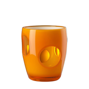 Fisheye Acrylic Tumbler