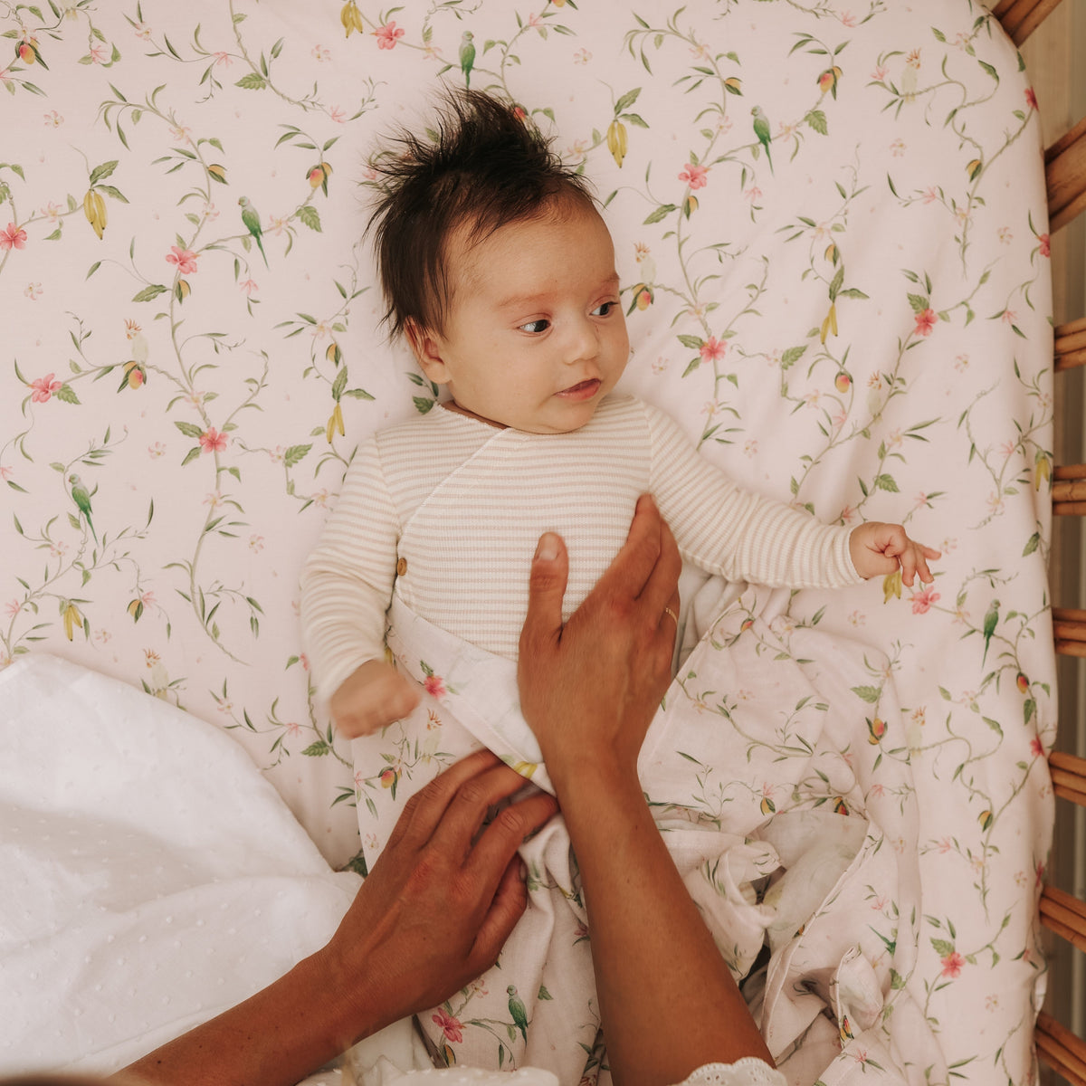 Dreaming of Paradise Crib Sheet - Ivory