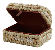 Shell Boxes