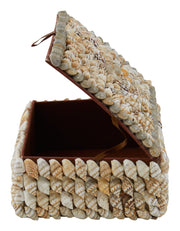 Shell Boxes