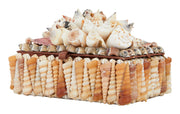 Large Shell Boxes