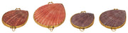 Pecten Shell Stash Box