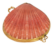 Pecten Shell Stash Box