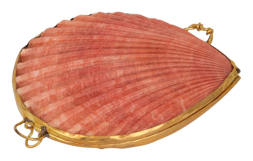 Pecten Shell Stash Box