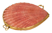 Pecten Shell Stash Box