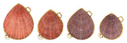 Pecten Shell Stash Box