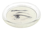 Lessons: Eye Coaster