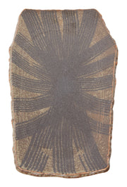 Sendai Plate