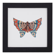 Vintage Blue Butterfly