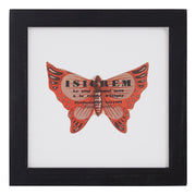 Vintage Orange Butterfly
