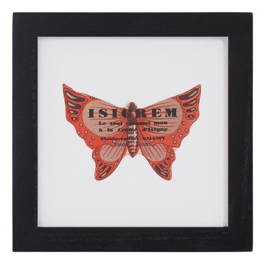 Vintage Orange Butterfly