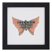 Vintage Orange Butterfly