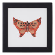 Vintage Orange Butterfly