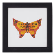 Vintage Orange Butterfly