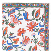 Avi Napkin