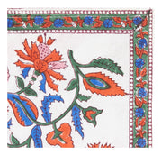 Avi Napkin