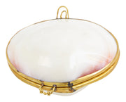 Tigrina Shell Stash Box