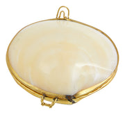 Tigrina Shell Stash Box