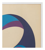 Vintage Framed Lithograph II