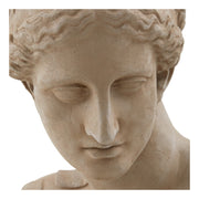Astier de Villatte Venus Bust