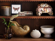 Imani Jars