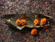 Thicket Tray