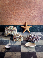 Large Shell Boxes