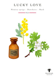 Baobab Collection Lucky Love Candle