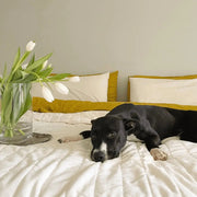 Linen+ Bamboo Quilted Coverlet
