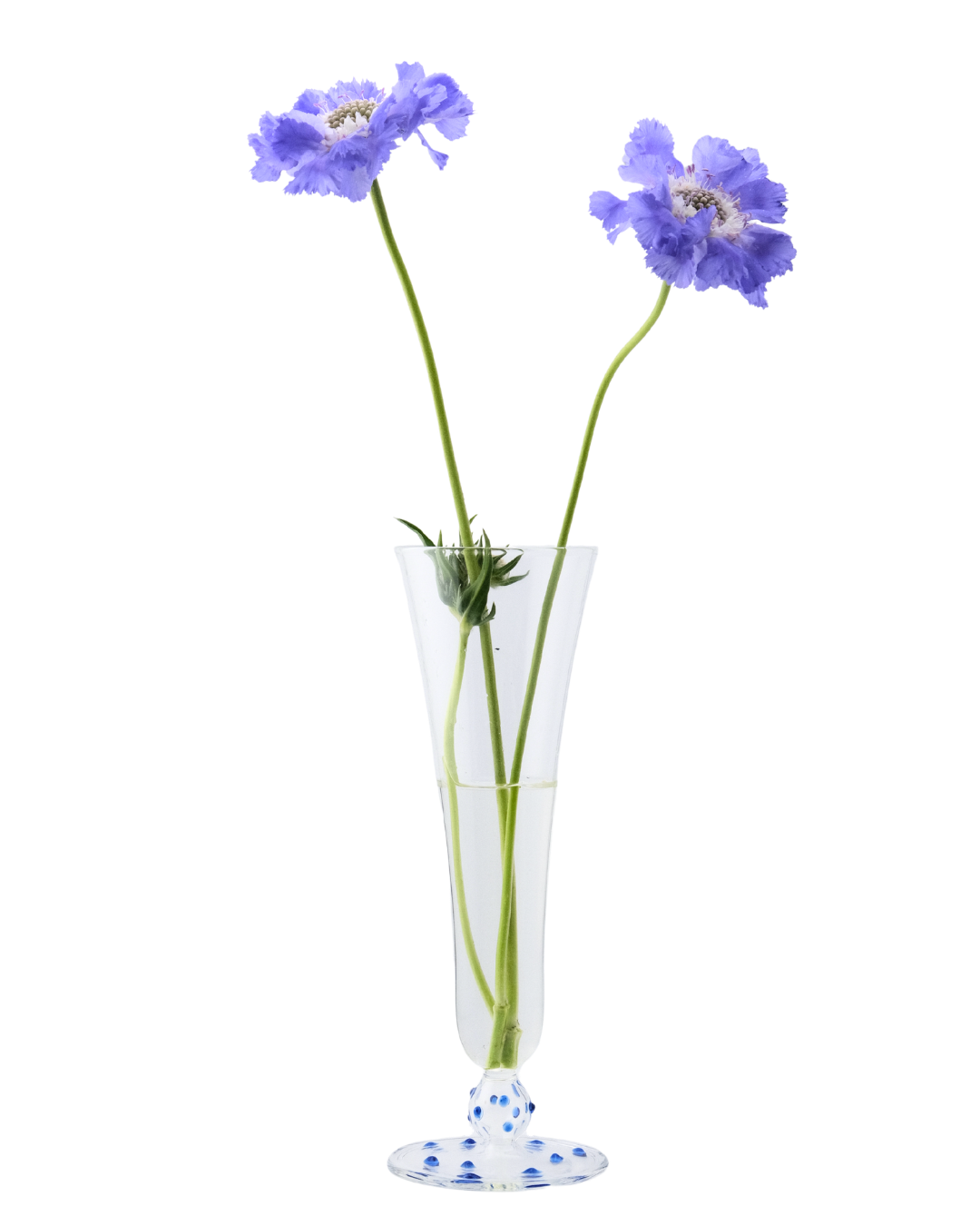 Long Stem Glass Vase by Issy Granger