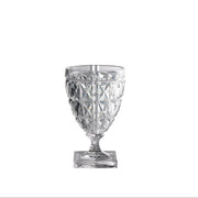 Stella Acrylic Wine Glass