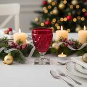 Stella Acrylic Wine Glass