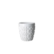 Stella Tumbler
