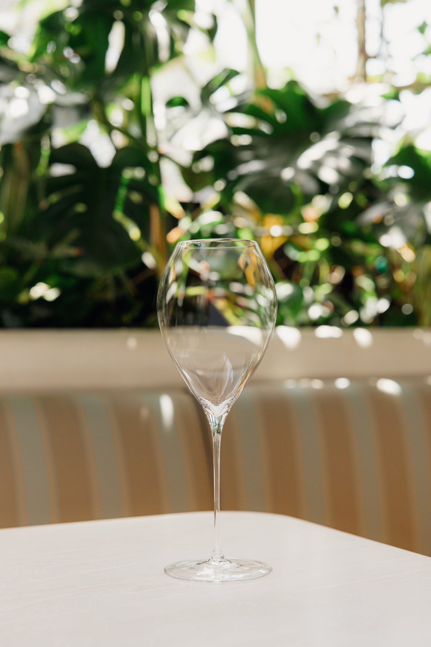SWRL Champagne Glasses (Set of 4)