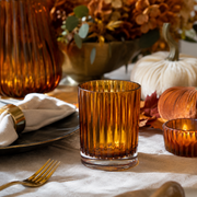Peter Acrylic Triple Old Fashion Tumbler