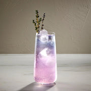 Mirage Set of 4 Long Drink Glasses
