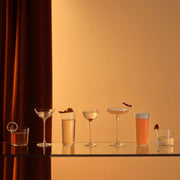 Savage Set of 4 Low Ball Glasses