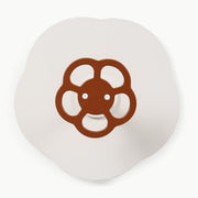 Wholesale Sit + Spin