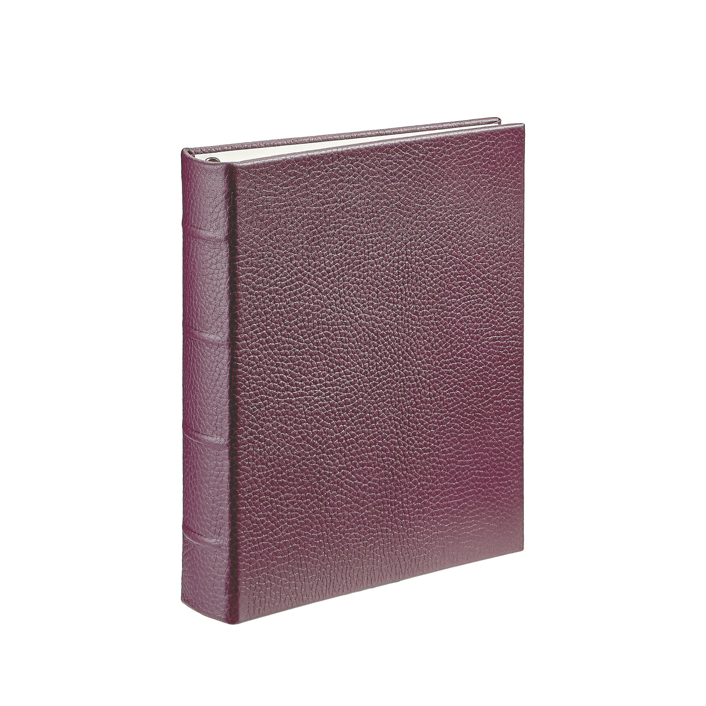 Medium 4-Ring Clear Pocket Album