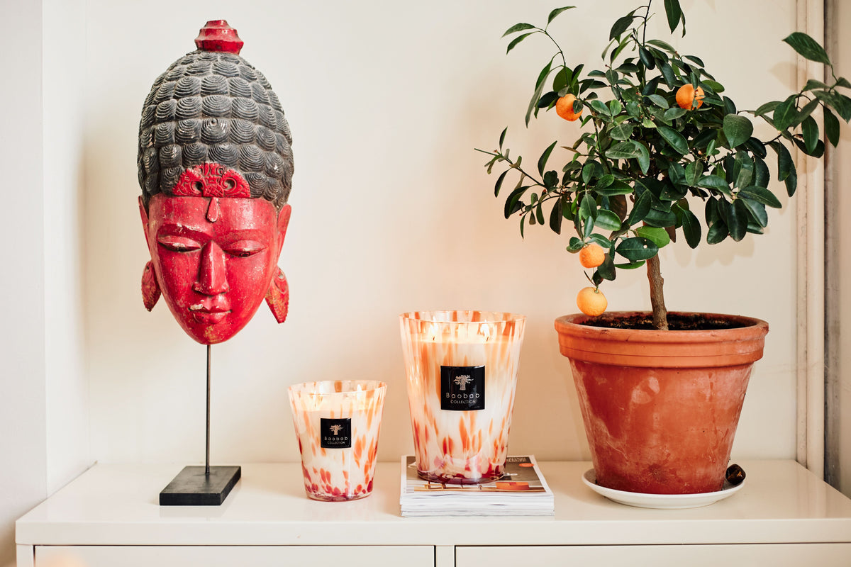 Baobab Coral Pearls Candle