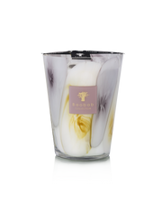 Baobab Collection EilenRoc Candle