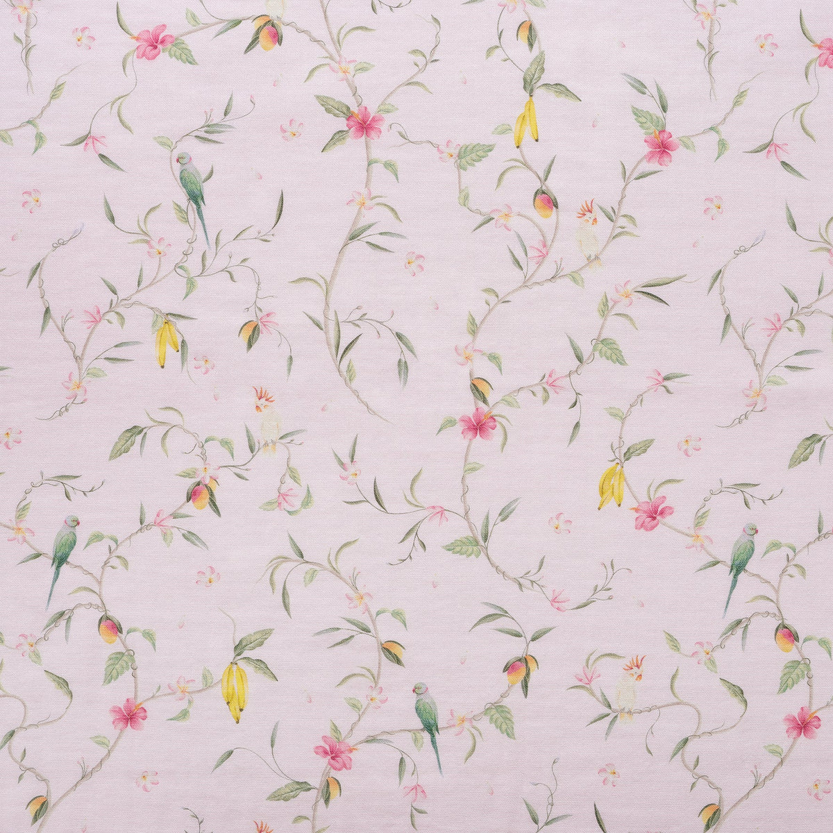 Dreaming of Paradise Crib Sheet - Ivory
