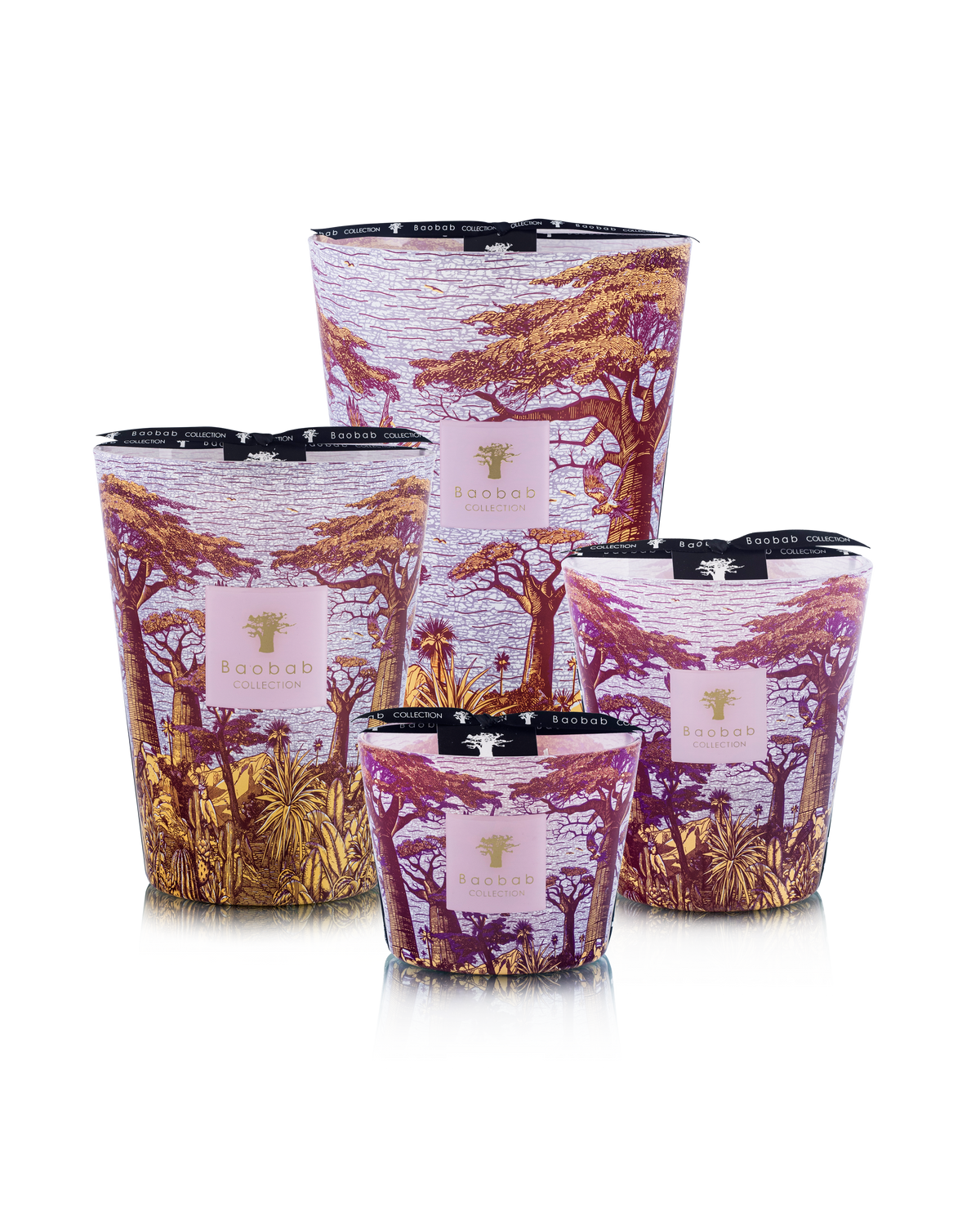 Baobab Massasso Sacred Trees Max 24 Candle