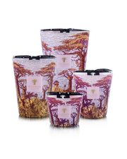 Baobab Collection Massasso Sacred Trees Max 24 Candle