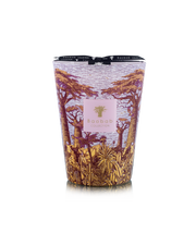 Baobab Collection Massasso Sacred Trees Max 24 Candle