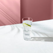 Savage Set of 4 High Ball Glasses