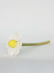 Long Stemmed Daisies