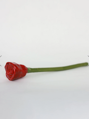 Long Stemmed Roses